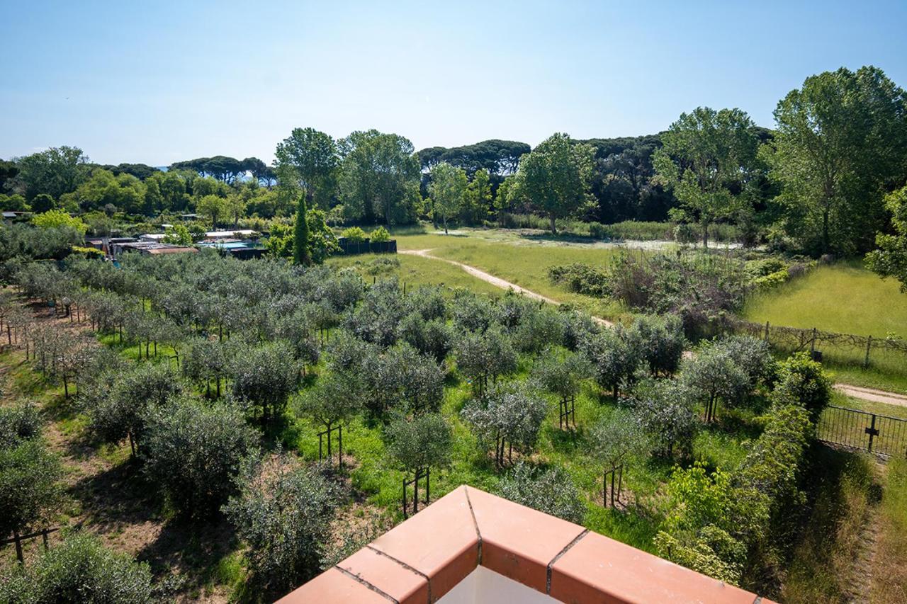 Attico Di Torsten Apartment Torre del Lago Puccini Exterior foto